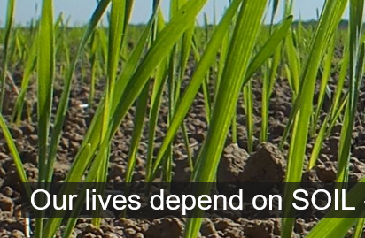 Soil matters